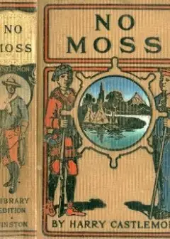 No Moss; Or, The Career Of A Rolling Stone