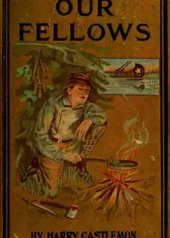 Our Fellows; Or, Skirmishes With The Swamp Dragoons