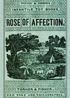 Rose Of Affection