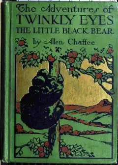 The Adventures Of Twinkly Eyes The Little Black Bear
