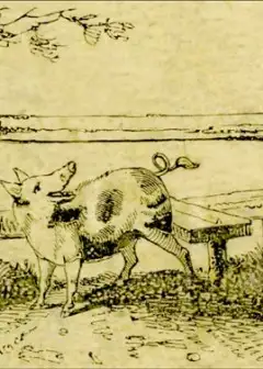 The Remarkable Adventures Of An Old Woman And Her Pig . An Ancient Tale In A Modern Dress
