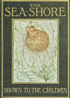 The Sea-Shore, Shown To The Children