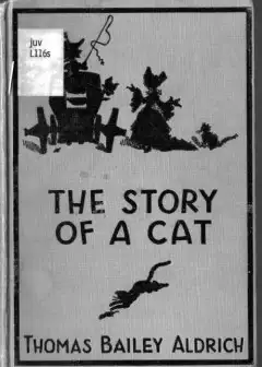 The Story Of A Cat