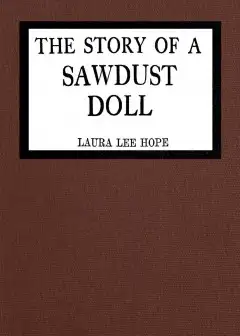 The Story Of A Sawdust Doll