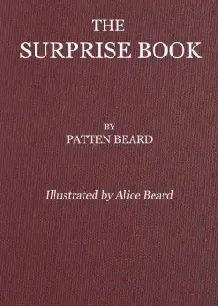 The Surprise Book