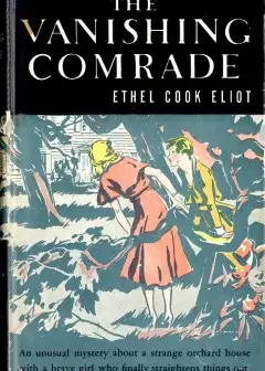 The Vanishing Comrade. A Mystery Story For Girls