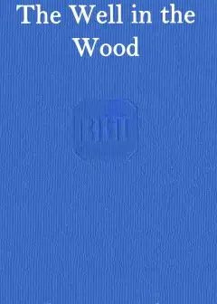 The Well In The Wood