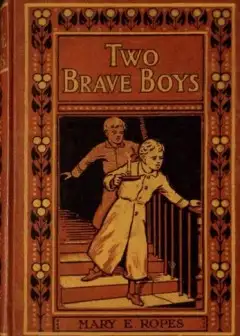 Two Brave Boys, And, The Wrong Twin