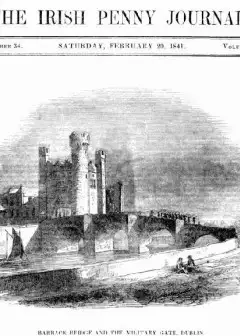 The Irish Penny Journal, Vol. 1 No. 34, February 20, 1841