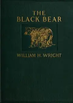 The Black Bear