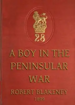 A Boy In The Peninsular War