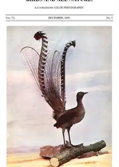 Ảnh Birds And All Nature, Vol. 6, No. 5, December 1899 . Illustrated By Color Photography