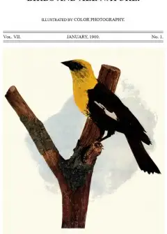 Ảnh Birds And All Nature, Vol. 7, No. 1, January 1900 . Illustrated By Color Photography