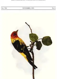 Birds And Nature, Vol. 08, No. 4, November 1900 . Illustrated By Color Photography