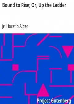 Ảnh Bound To Rise; Or, Up The Ladder