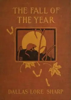 The Fall Of The Year