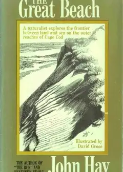 The Great Beach